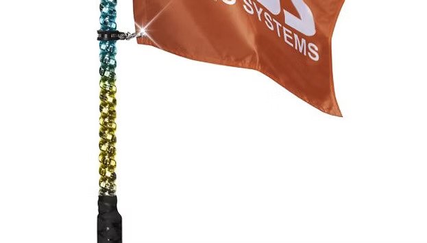 BOSS 2ft Whip - Image 2